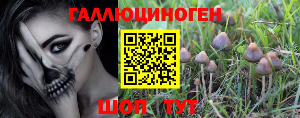 Псилоцибиновые грибы мухоморы Карталы